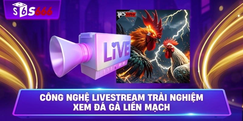 Công nghệ livestream trải nghiệm xem đá gà liền mạch 